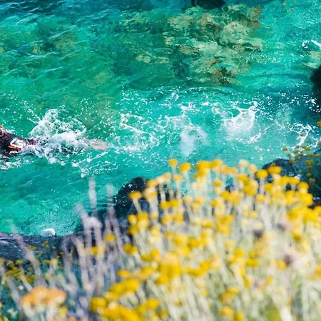 Appartement Scaglieri *